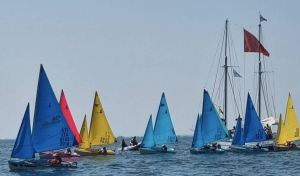Area 12 - Il Panathlon alla BARCOLANA 2024!